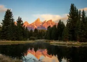 A lake with tall pine trees lining the lake and the Teton mountains in the background.