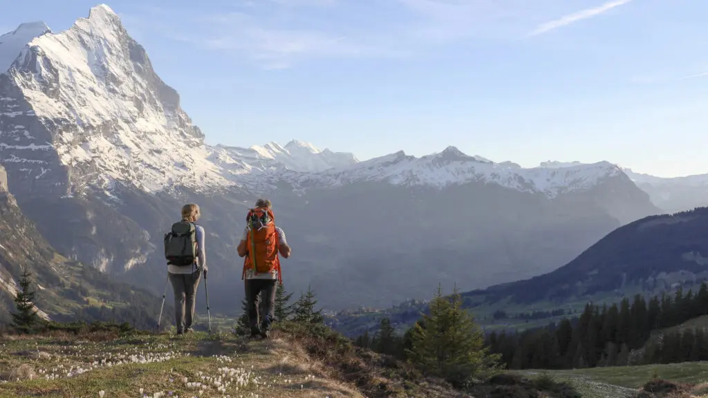 Mature couple hike along sunny mountain ridge