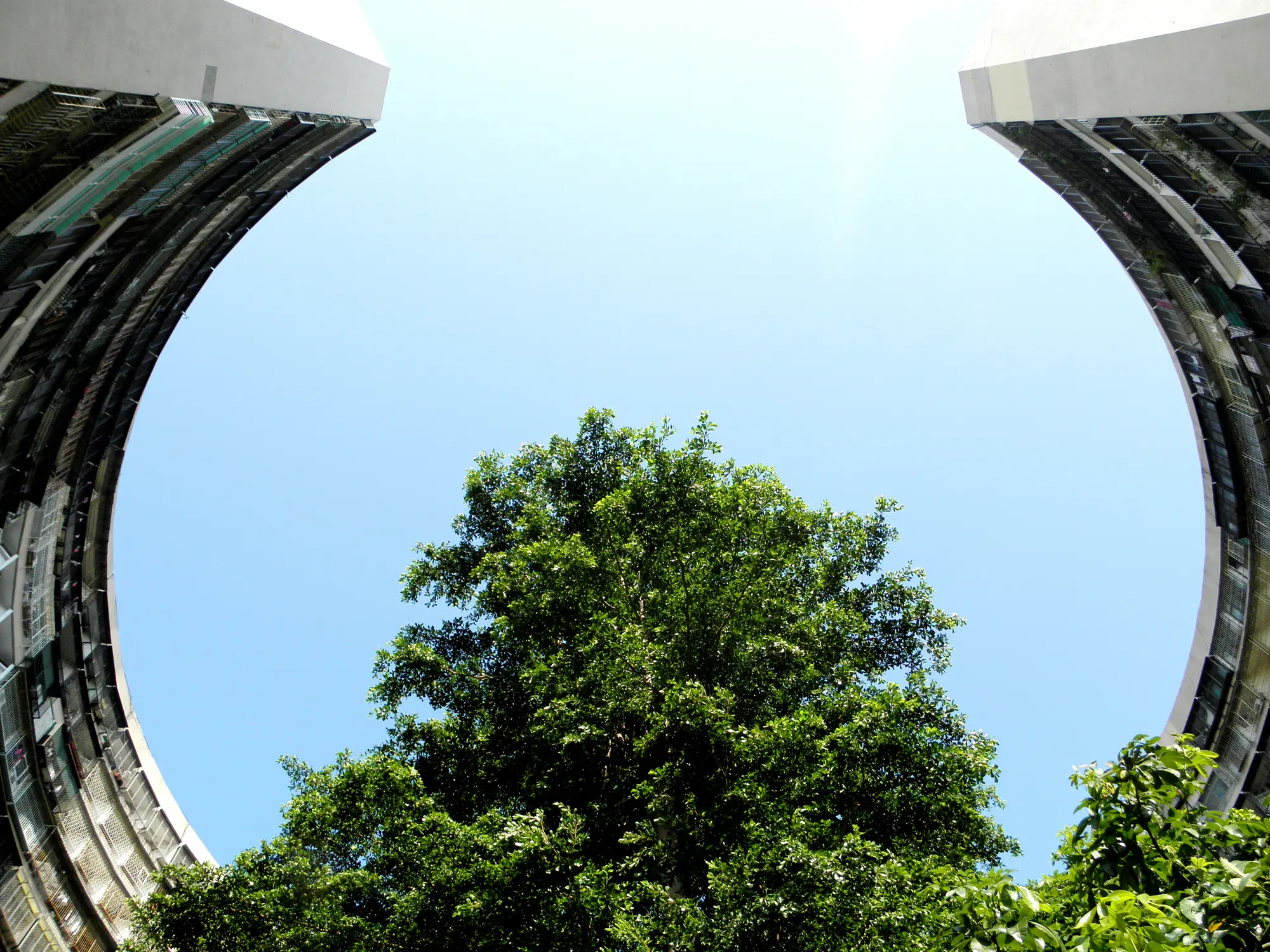 Kaohsiung, Taiwan - July 17, 2019: The old-fashioned residential area of ​​Kaohsiung, Taiwan has a long history. The Kaohsiung International Trade Community Centre has a densely populated environment