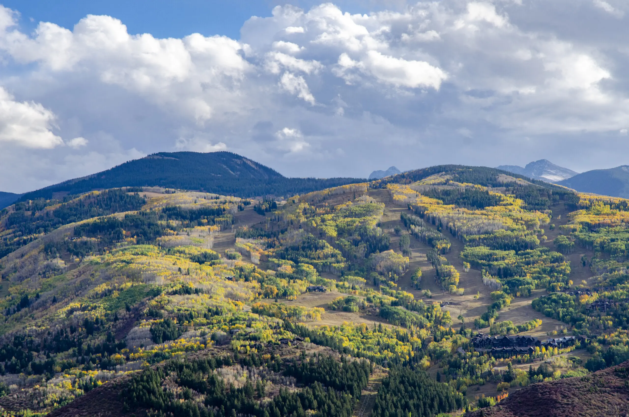 iStock 1902996236 1 scaled