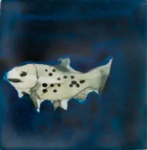 painted fish art