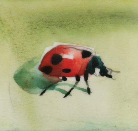 Watercolor artwork of a lady bug