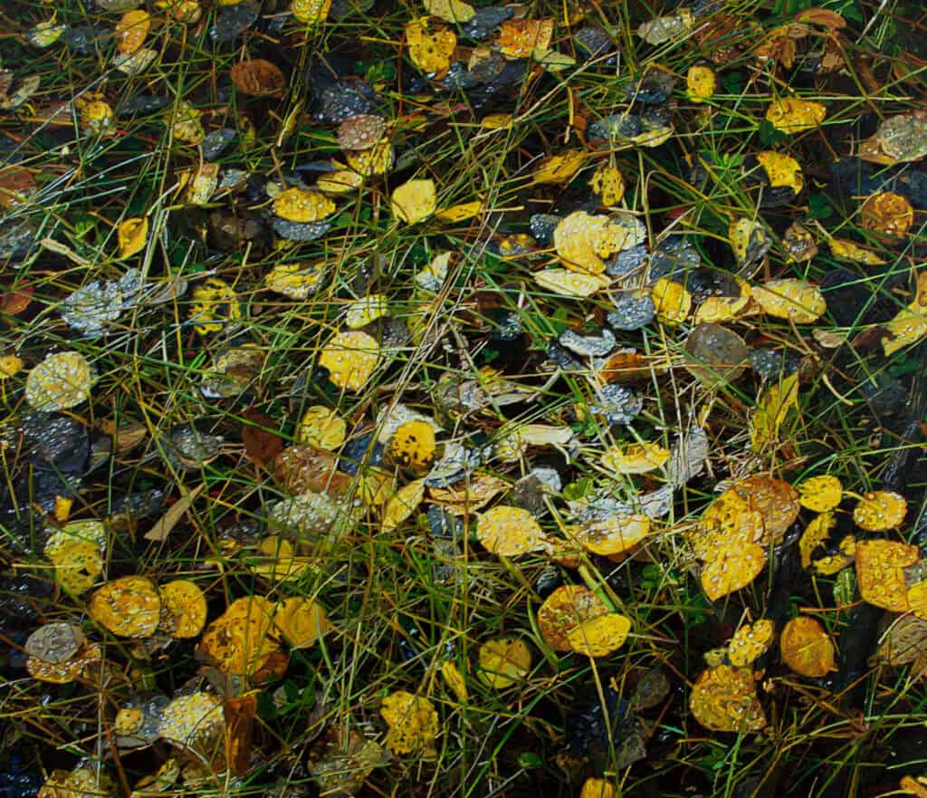 Greg Navratil, Leaves and Grass, 2007, Acrylic on Canvas | First Western Art Collection