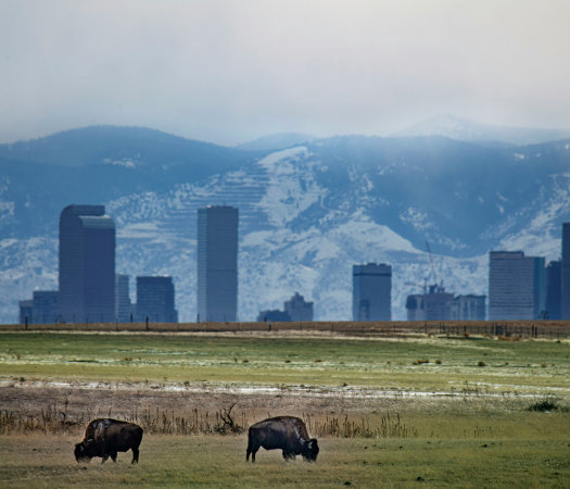 Locations Buffalo outside of Denver Colorado
