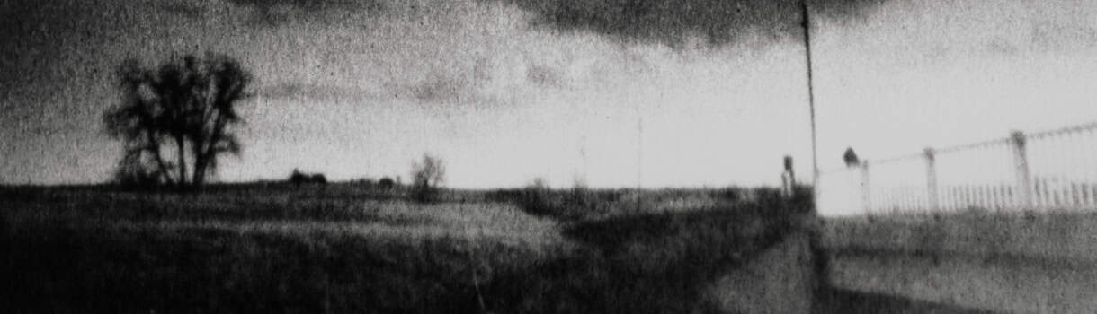 Black and white photo of a field with trees and a bridge