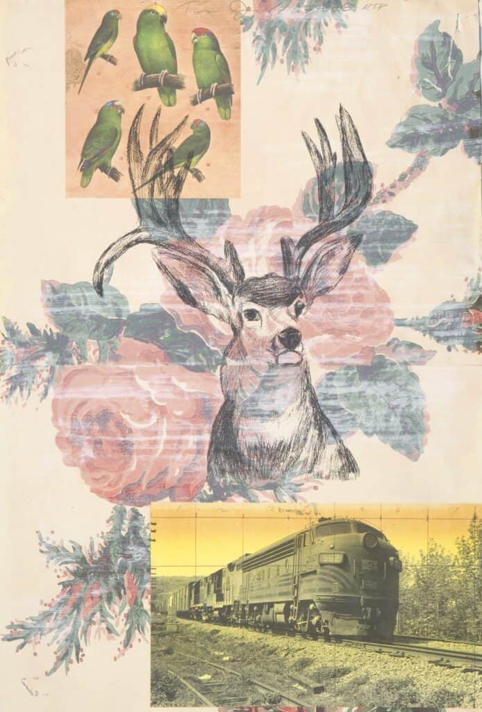 Tom Judd, Stag, 2006, Lithography, Collograph and Digital Print | First Western Art Collection