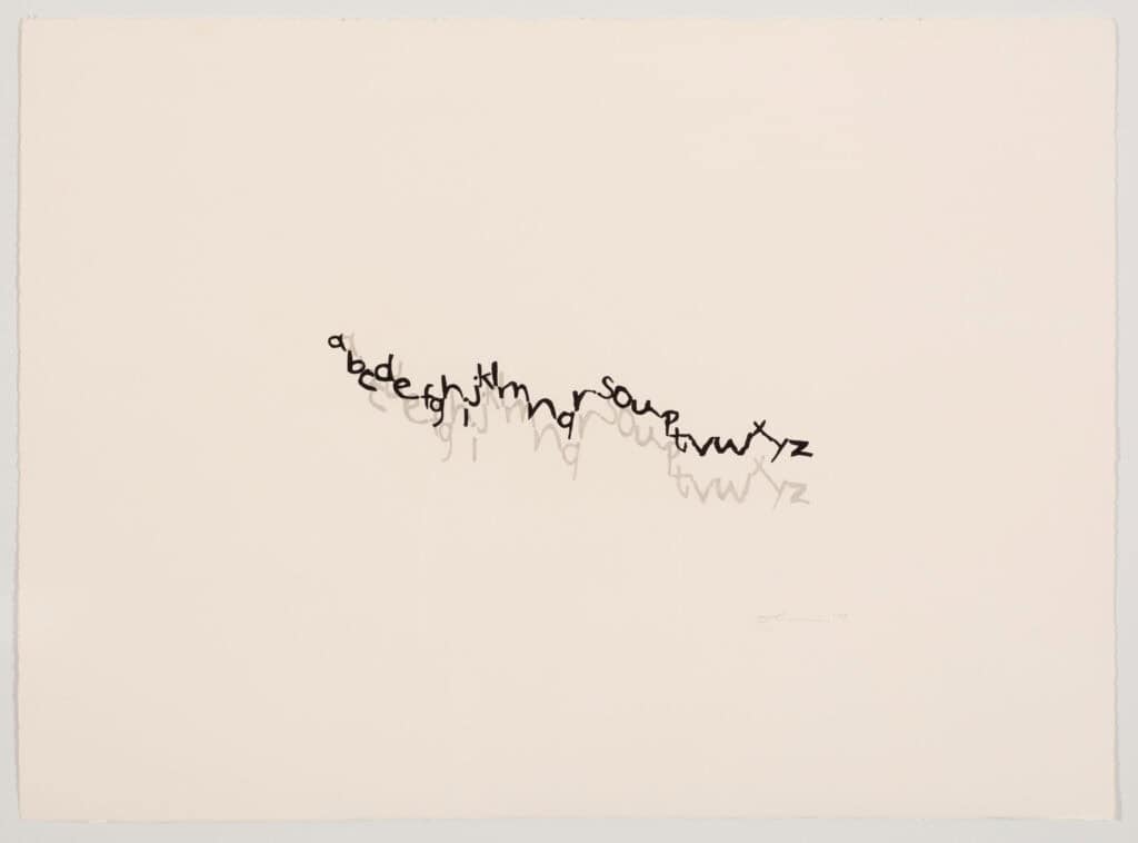 Tsehai Johnson, Alphabet Soup, 2010, Ink and Graphite on Paper, First Western Art Collection