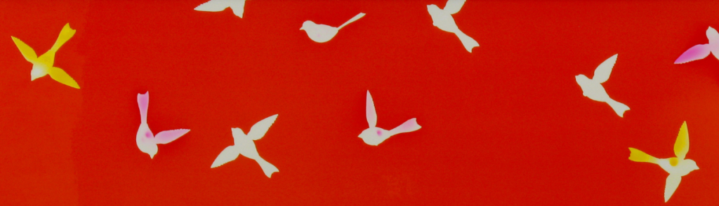 a group of white birds on a red background