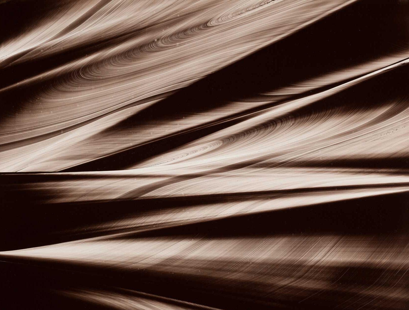 Ryan Magyar, #50.1, 2009, Oil on paper